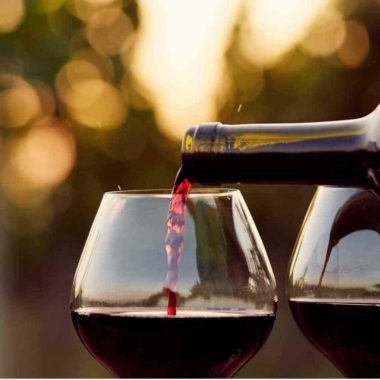 Workshop sobre Vinhos do Brasil